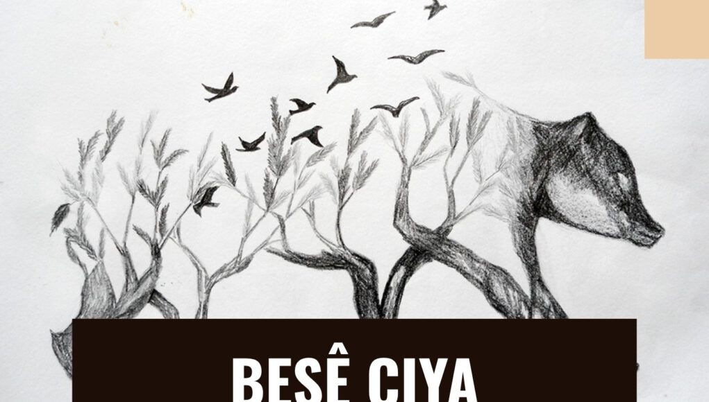 Kovara Nû û Dosyayên Dewlemend