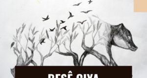 Kovara Nû û Dosyayên Dewlemend