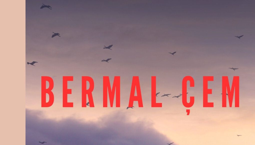 Albûma Bermal Çem: Evîna Çiya Me