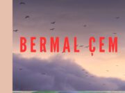 Albûma Bermal Çem: Evîna Çiya Me