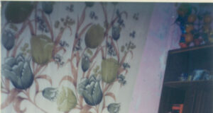 Hevpevyîn bi Mazlum Tatwan re – 1