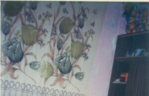 Hevpevyîn bi Mazlum Tatwan re – 1