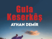 Helbesta “Şehîd Mizgîn” û Portreya Ayhan Demir