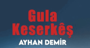 Helbesta “Şehîd Mizgîn” û Portreya Ayhan Demir