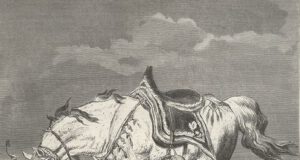 Serpêhatiya Bêbextiyê: Strana Sînemê