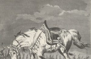 Serpêhatiya Bêbextiyê: Strana Sînemê