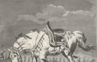 Serpêhatiya Bêbextiyê: Strana Sînemê
