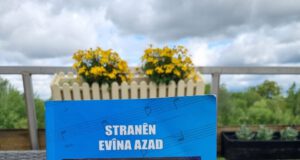 Pirtûka Seyda Perînçek